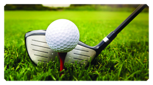 DSC700 344 Gone Golfing (Club)